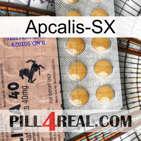 Apcalis-Sx 41.jpg